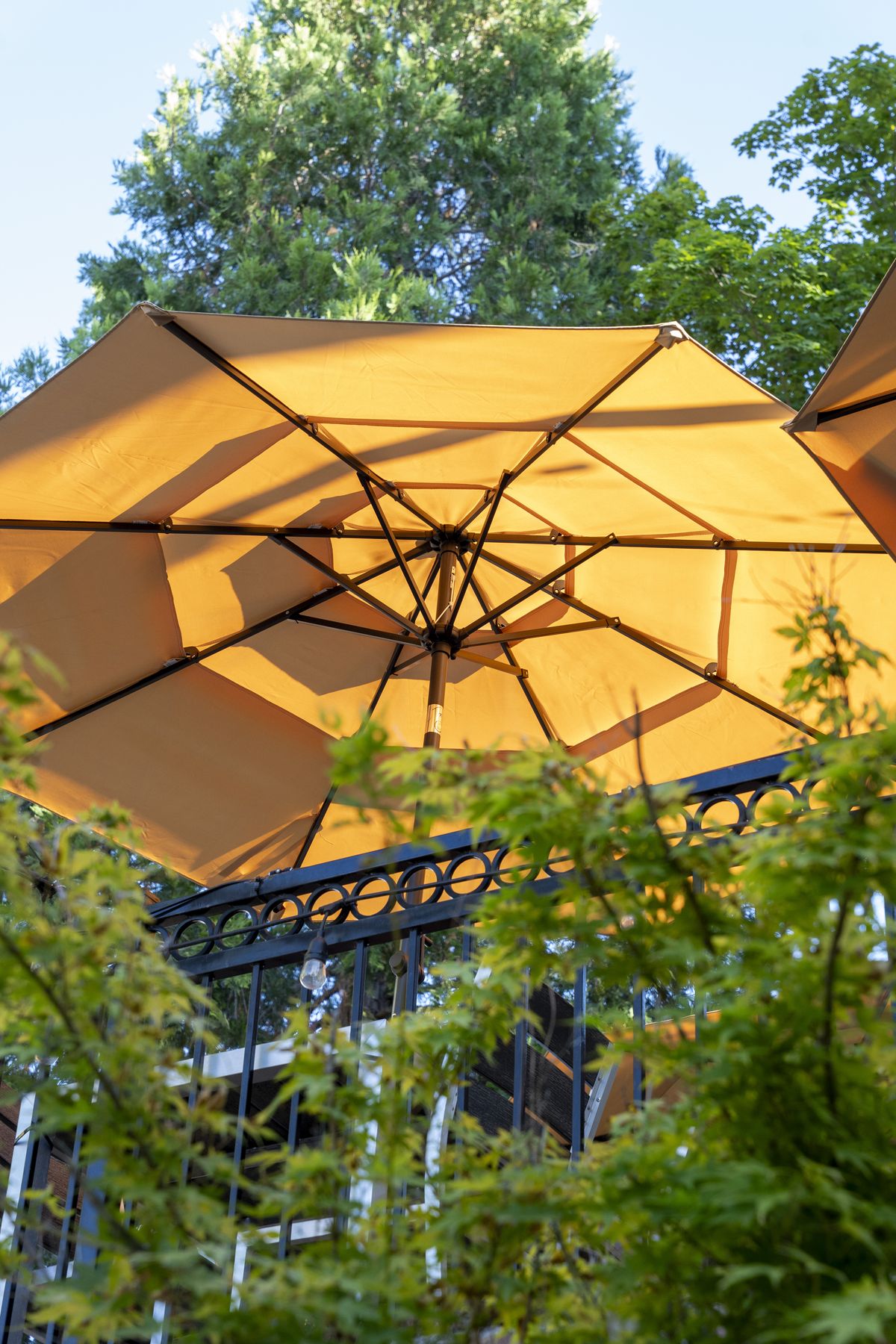 The patio